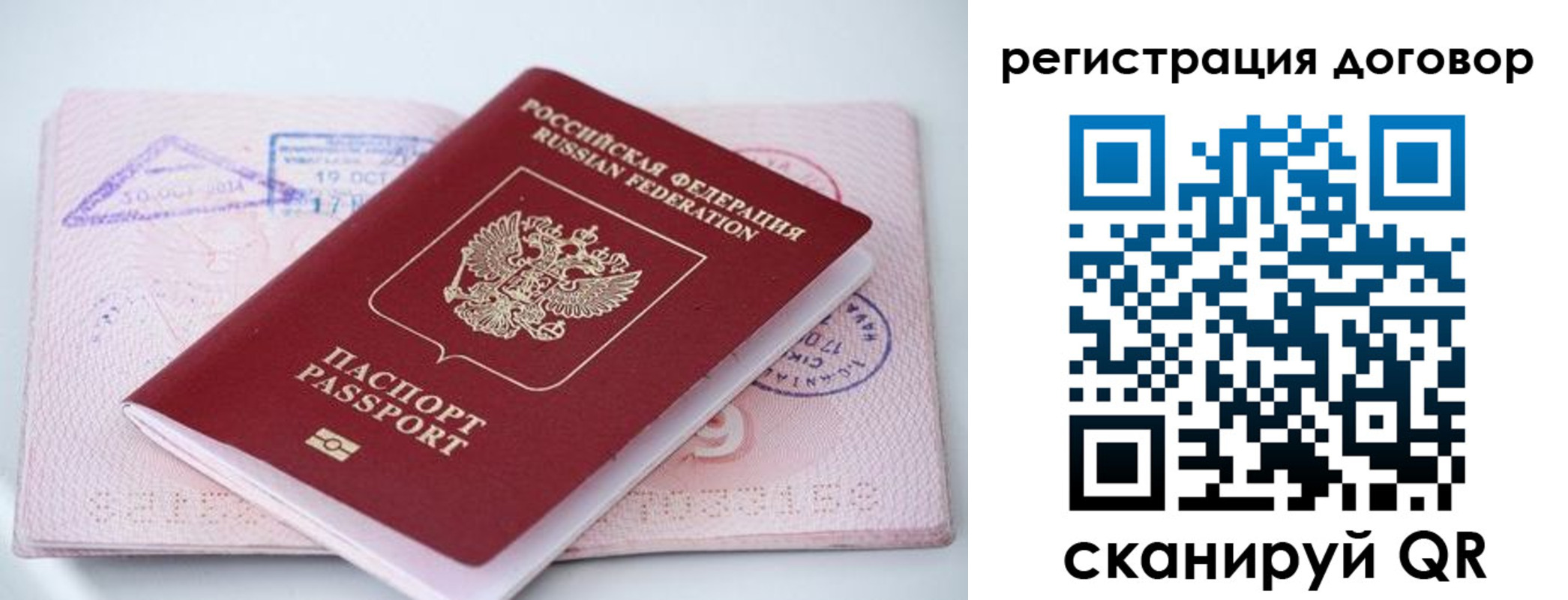 прописка паспорт в Димитровграде
